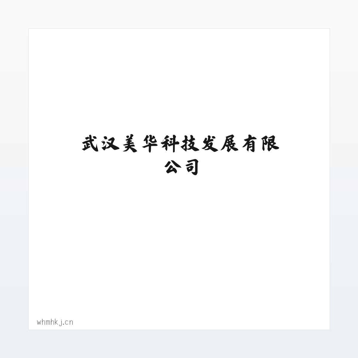 武汉美华科技发展有限公司 方图